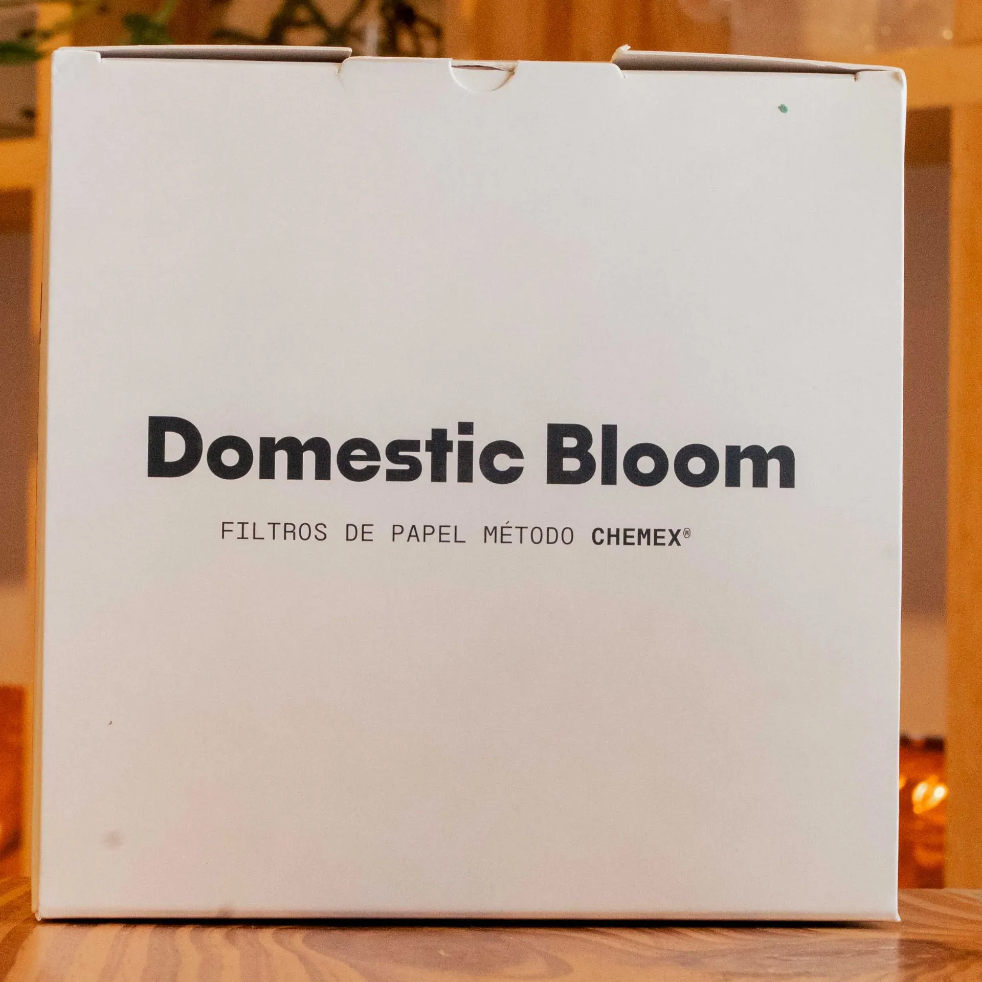 [06060002] FILTROS CHEMEX X 100 UNIDADES